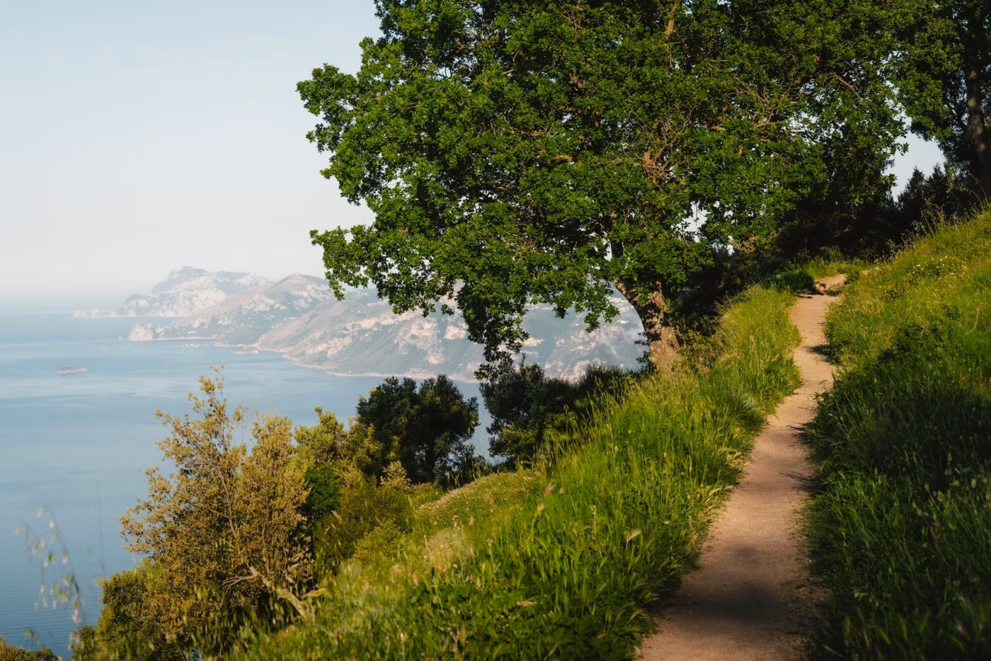 50 domande frequenti sulla Campania: le risposte