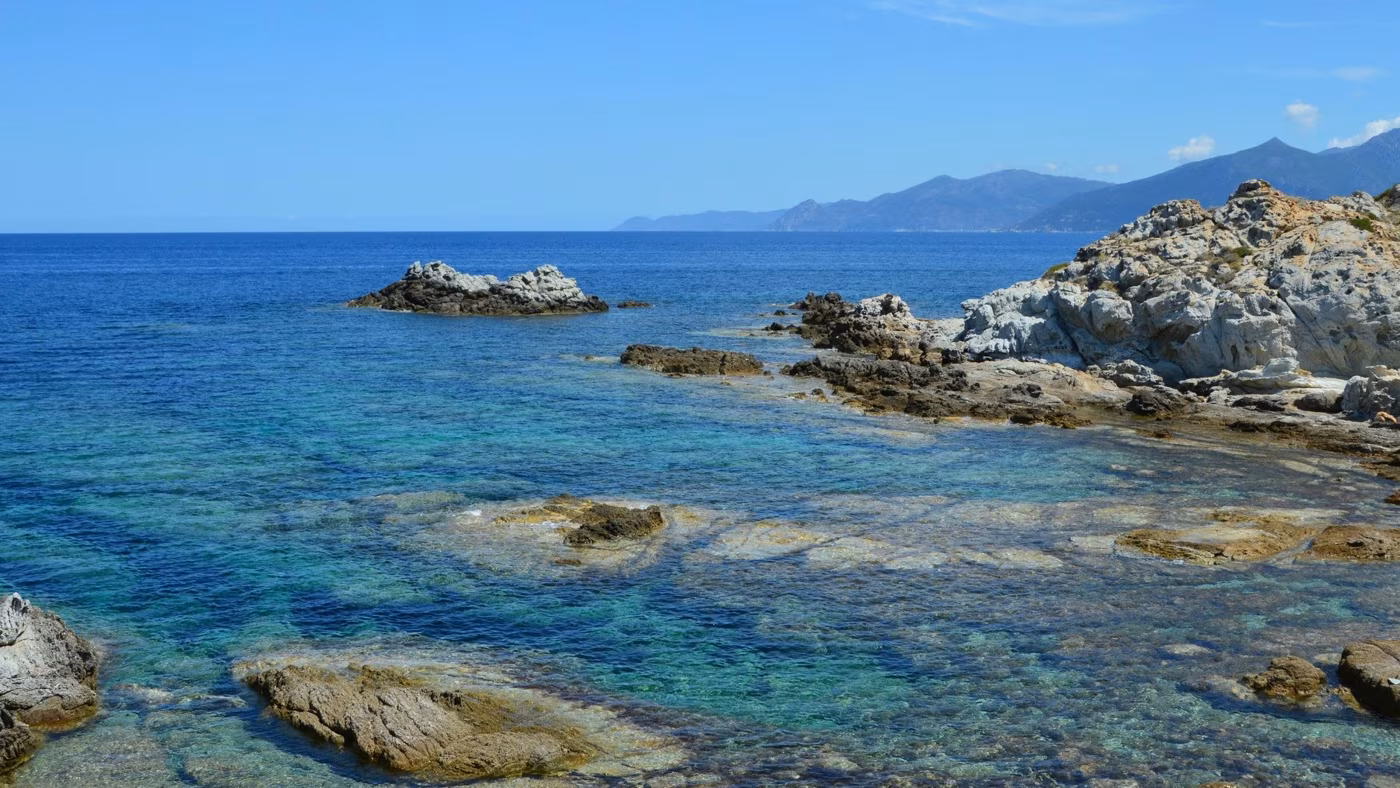 Colatura di alici di Cetara