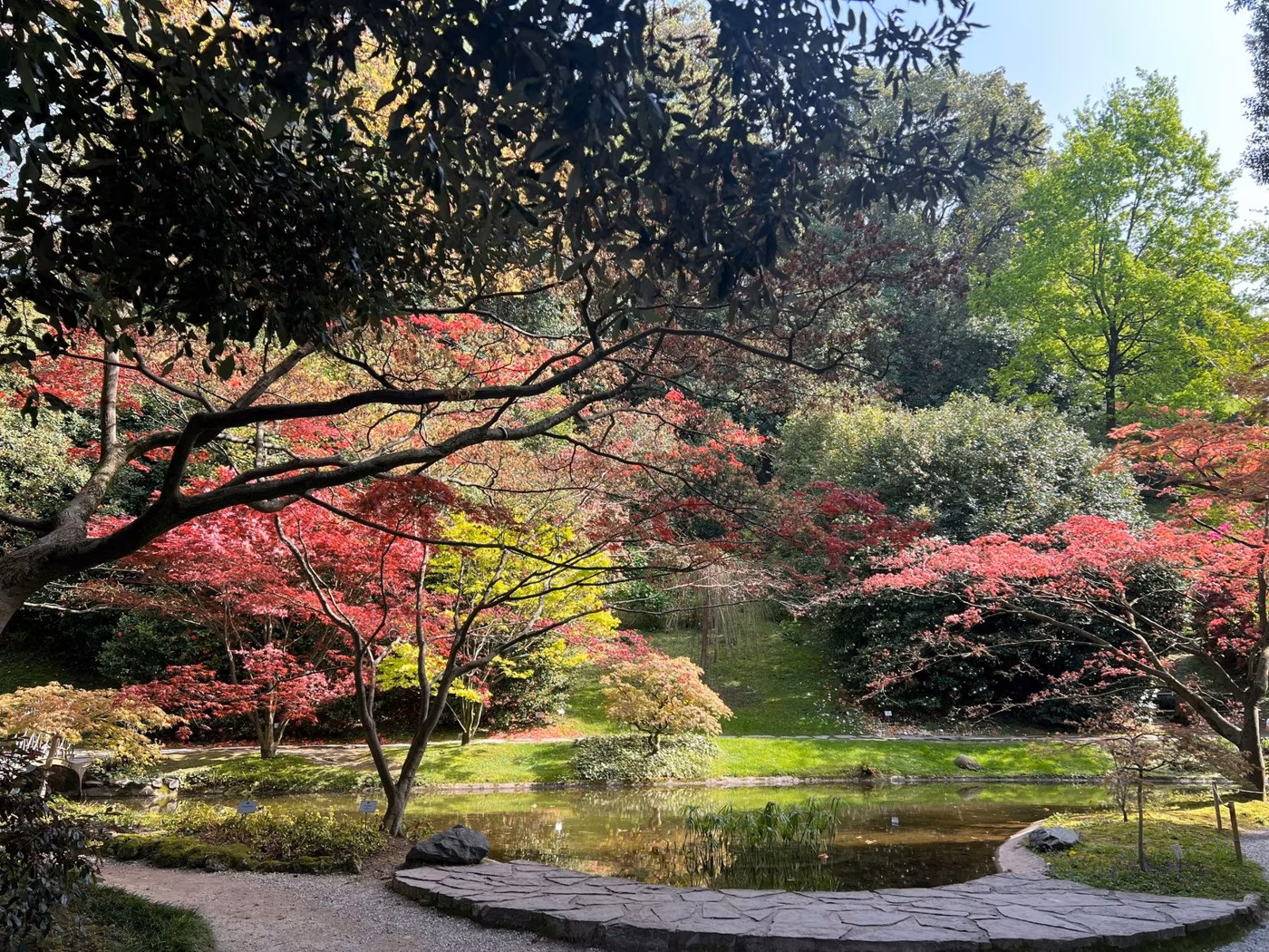 Giardini La Mortella e Ravino: tour dei giardini di Ischia
