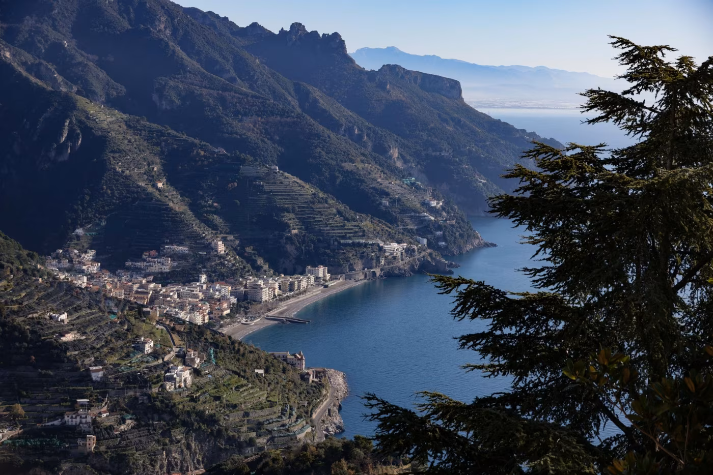 Gli ulivi millenari del Cilento