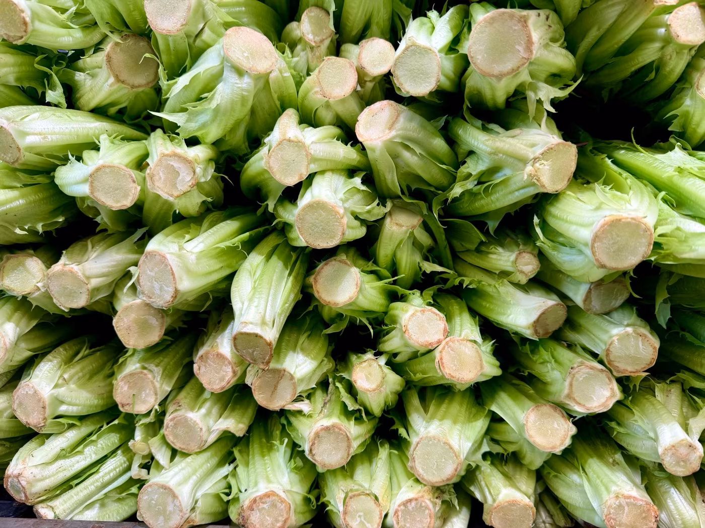 I friarielli: cosa sono e come si cucinano