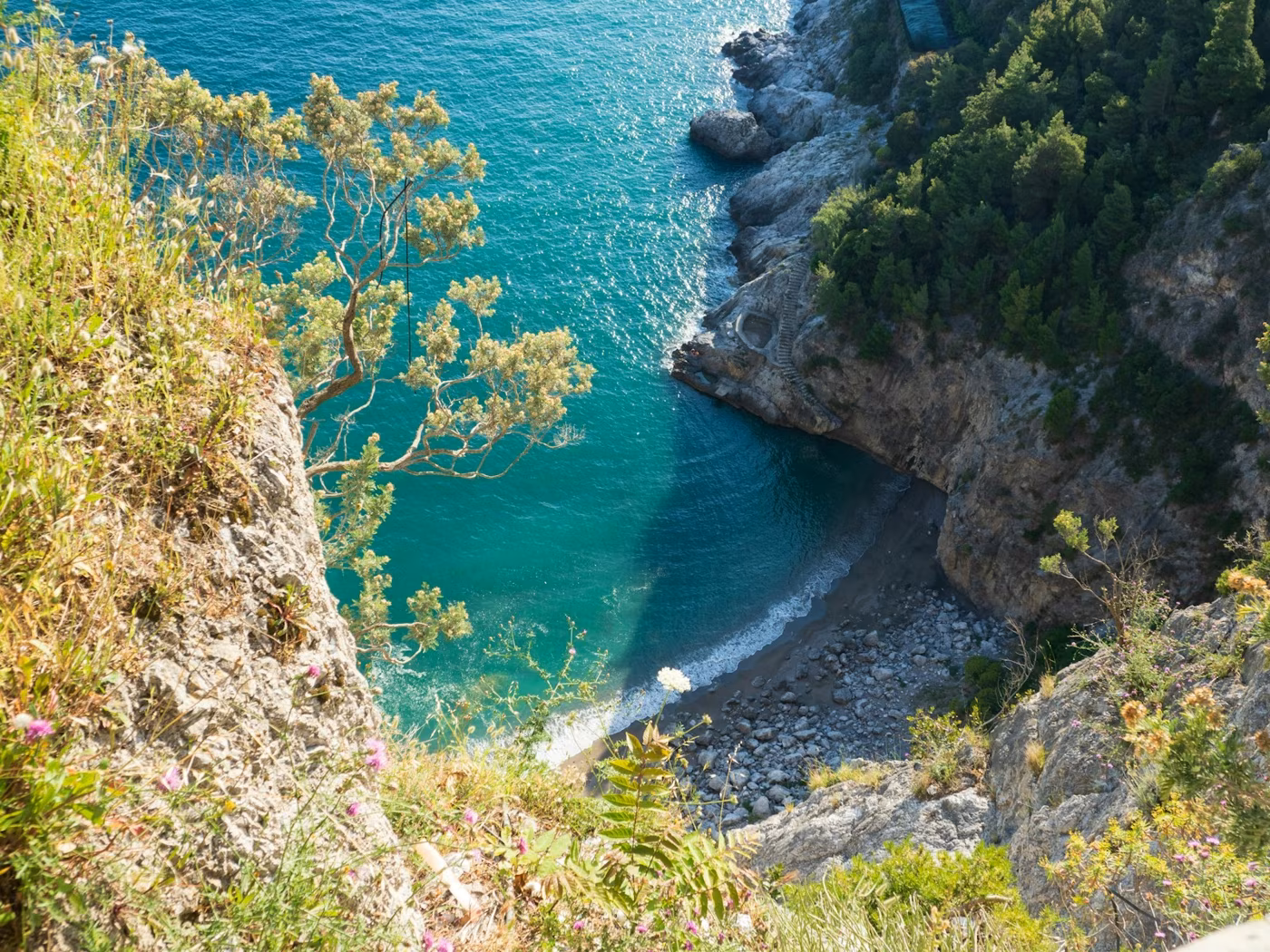 L'AMP di Punta Campanella