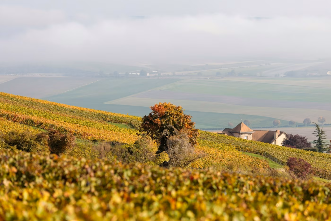 L'Irpinia in autunno: castagne, tartufi, vino e foliage