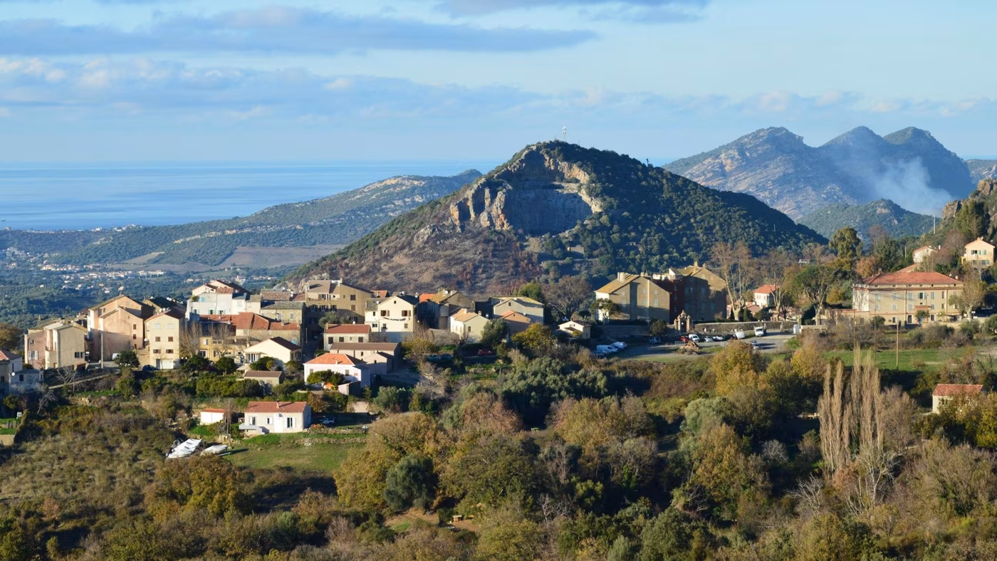 La castagna di Montella IGP e il tartufo di Bagnoli Irpino