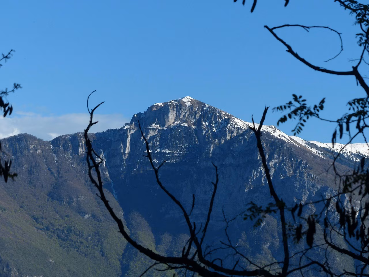 Le conserve di alici della tradizione campana