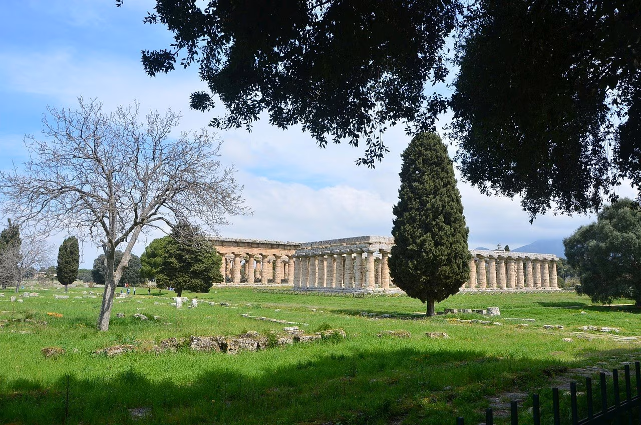 Paestum: visita guidata ai templi e al museo