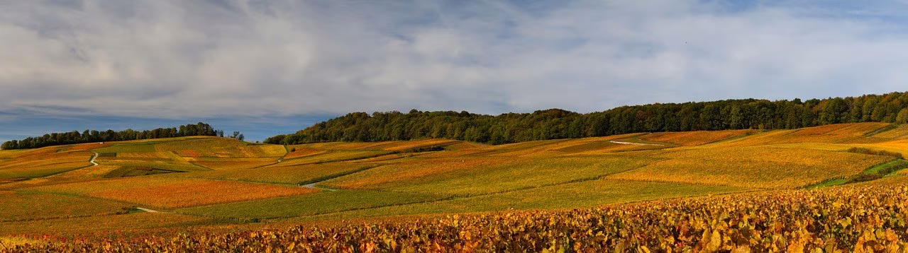 Un weekend di enoturismo in Irpinia: dove dormire tra le vigne